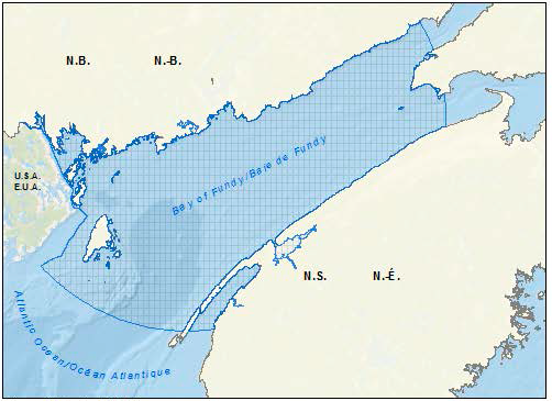 Map of the Bay of Fundy pilot area